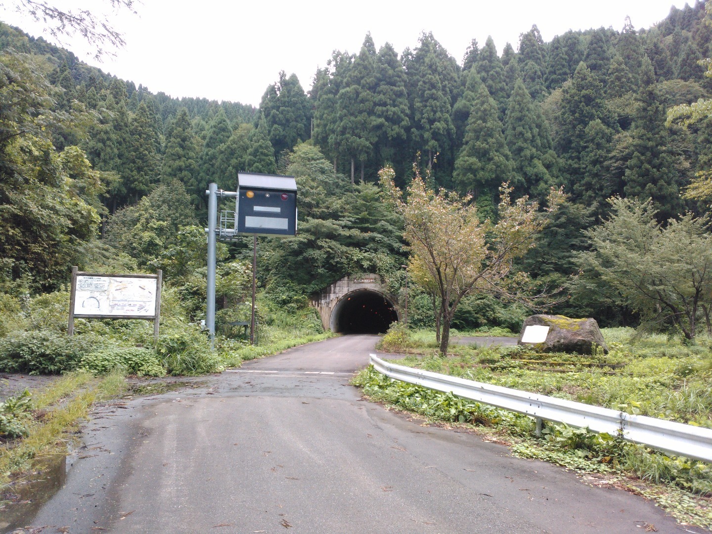 トレイル 林道美山 大野線 福井市 大野市 ふじkyokuのランニング フォーエバー